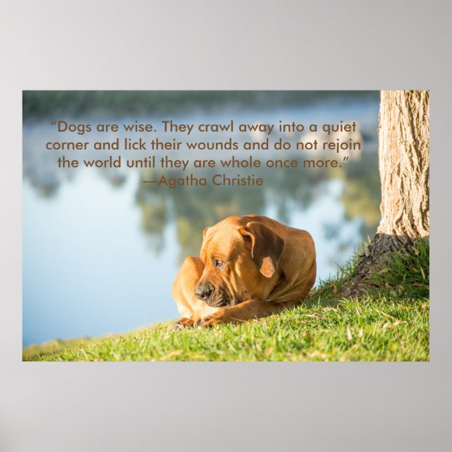 Poster de Boerboel dog com citação Inspiracional (Frente)