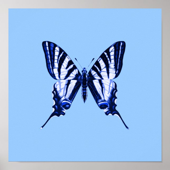 Poster de Borboleta Azul (Frente)