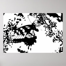 Poster de borboleta branca e preta