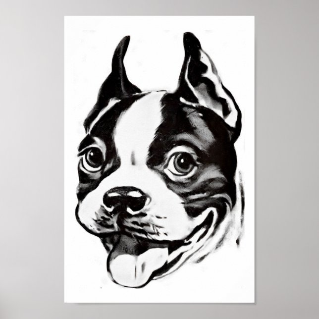 Poster de Boston Terrier (Frente)