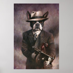 Poster de Boston Terrier do gângster dos anos 30