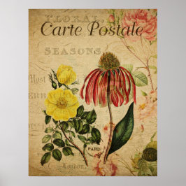Poster de Botânica Vintage - Rudbeckia