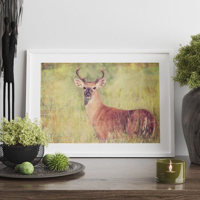 Poster de Buck Branco Personalizado ou para desaco (Altered art white tailed deer poster print design)