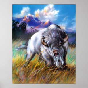 Poster de Buffalo Branco