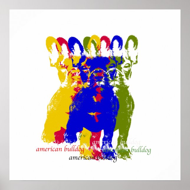 Poster de buldogue americano (Frente)