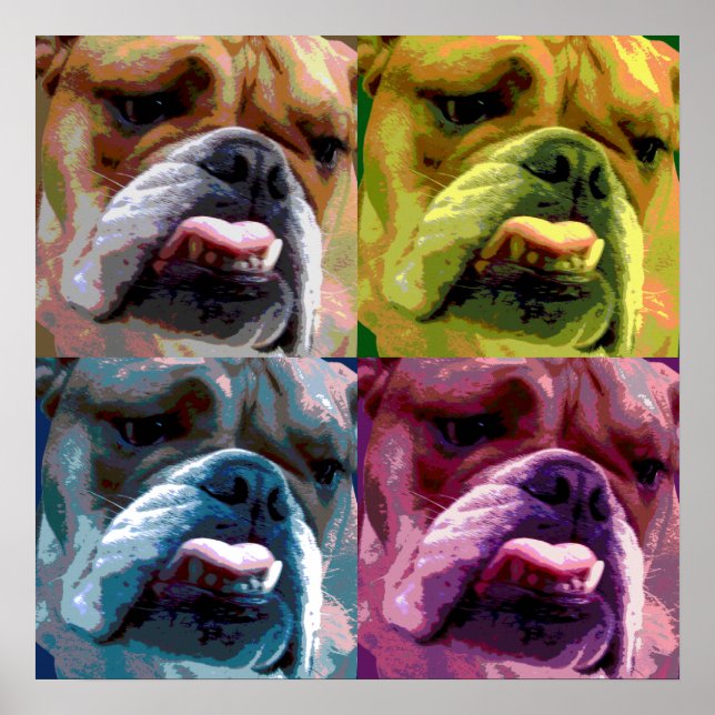 Poster de buldogue inglês (Frente)