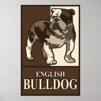 Poster de Buldogue Inglês