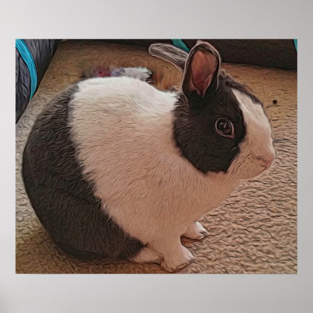 Poster de Bunny Preto e Branco (Frente)