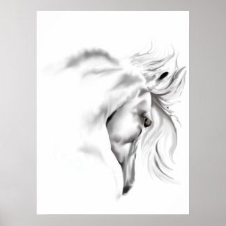 Poster de Cabeça de Cavalo Branco
