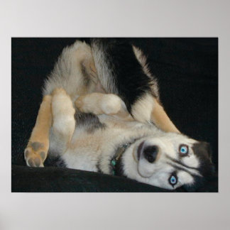 Poster de Cabeça sobre Calores