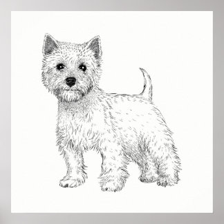 Poster de Cachorro / Arte de Parede West Highland