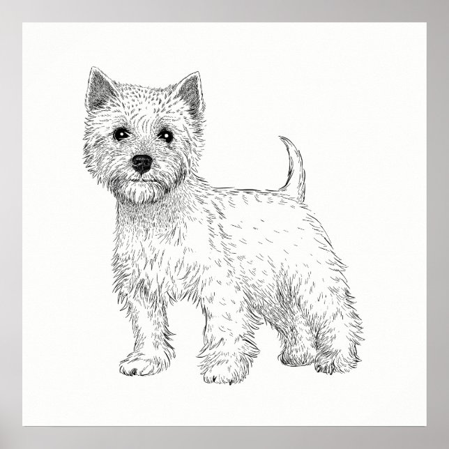 Poster de Cachorro / Arte de Parede West Highland  (Frente)