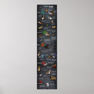 Poster de Cachorro legal