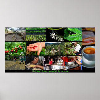 Poster de café