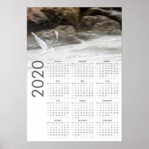 Poster de Calendário 2020 da Seagull