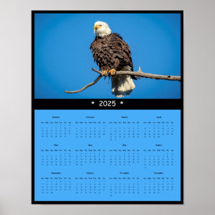 poster de Calendário da Parede da Águia Balda 2025