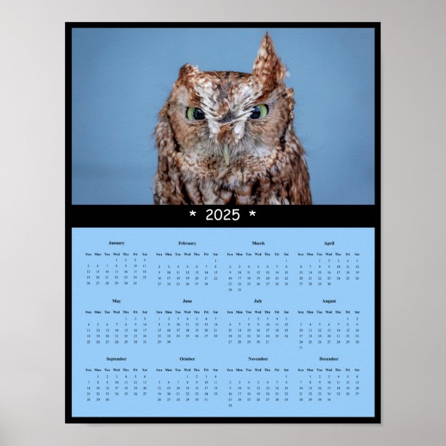 poster de Calendário da Parede da Coruja Oriental  (Frente)