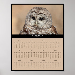 poster de Calendário da Parede de Coruja Barred 20