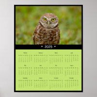 poster de Calendário da Parede de Coruja Burrowing