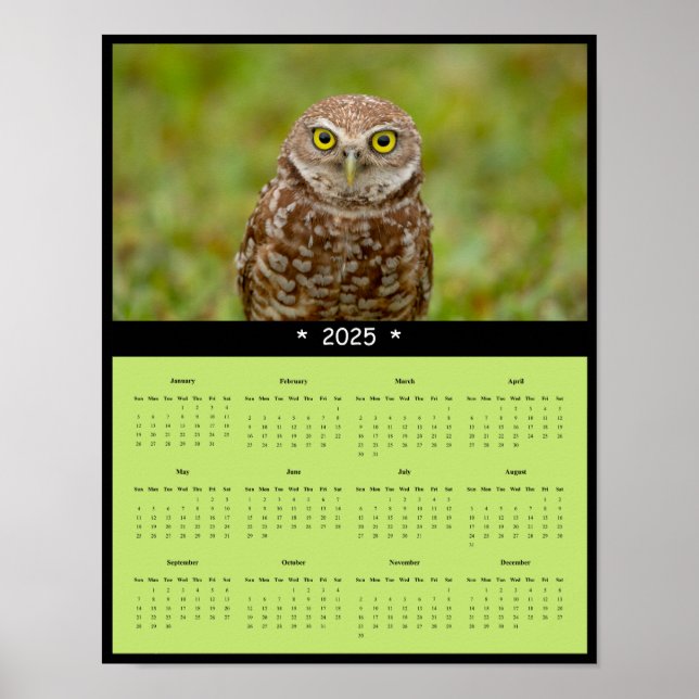 poster de Calendário da Parede de Coruja Burrowing (Frente)