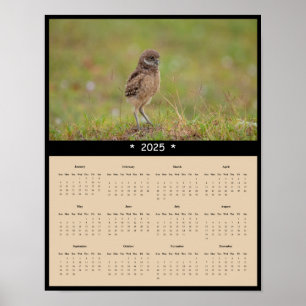poster de Calendário da Parede de Coruja Burrowing