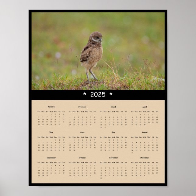 poster de Calendário da Parede de Coruja Burrowing (Frente)