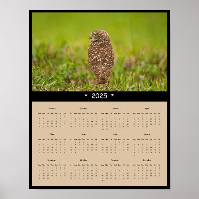 poster de Calendário da Parede de Coruja Burrowing (Frente)