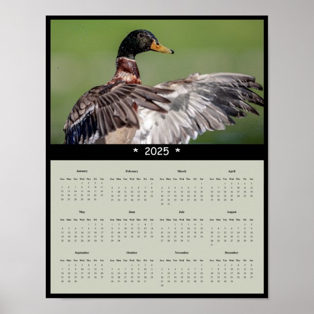 poster de Calendário da Parede do Pato Mallard 202 (Frente)