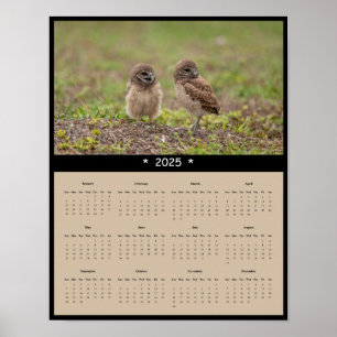 poster de Calendário da Parede dos Corujas Burrowi