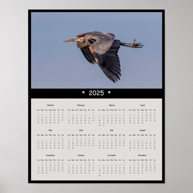 poster de Calendário da Parede Heron Azul do Excel (Frente)