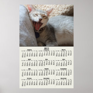 Poster de Calendário de Jasper Yawning Kitten 2011