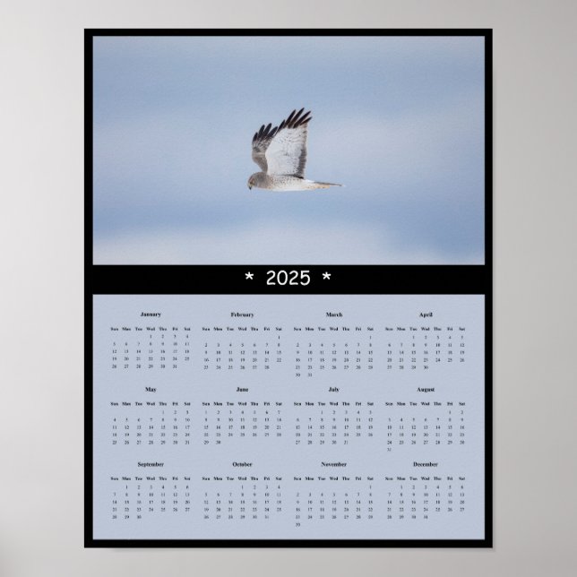 poster de Calendário de Muro do Harrier Hawk, Nort (Frente)