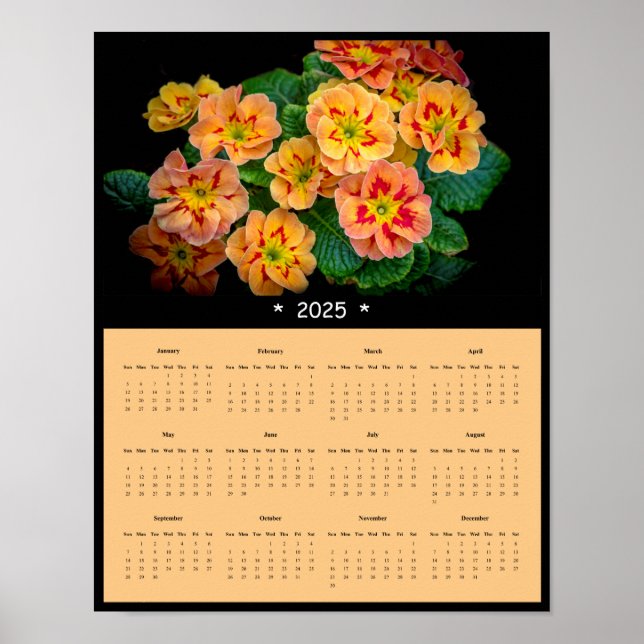 poster de Calendário de Parede das Flores da prima (Frente)
