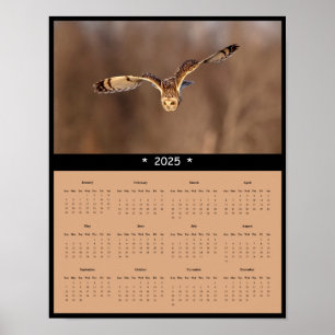 poster de Calendário de Parede de Coruja Curta-Ore