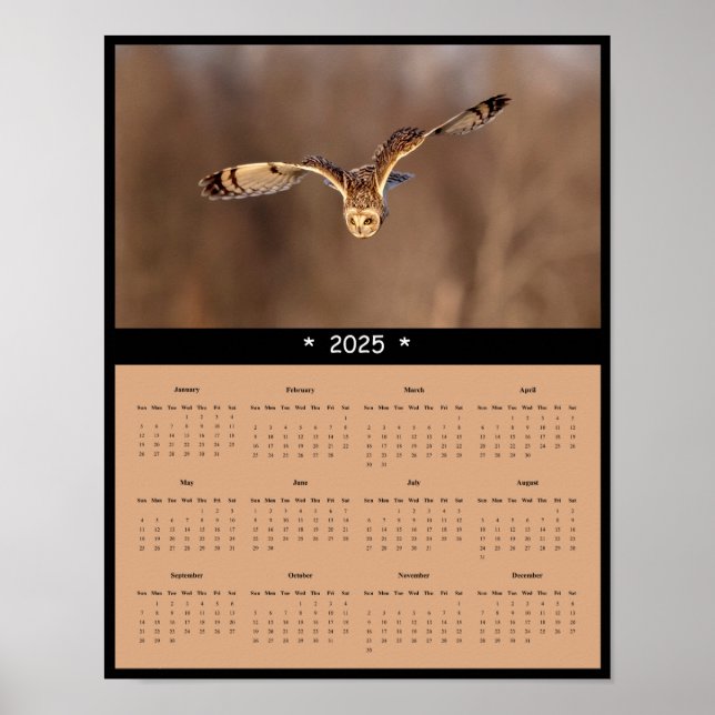 poster de Calendário de Parede de Coruja Curta-Ore (Frente)