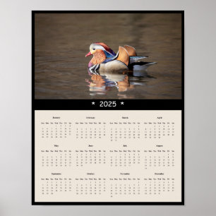 poster de Calendário de Parede de Pato Mandarim 20