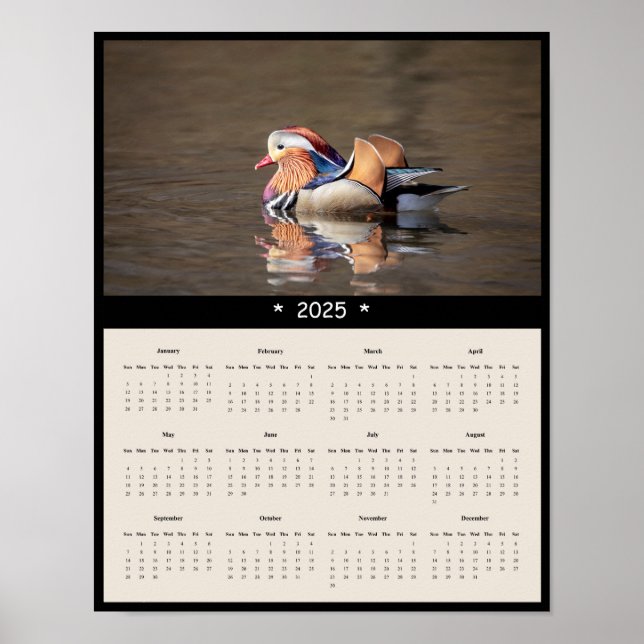 poster de Calendário de Parede de Pato Mandarim 20 (Frente)
