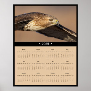poster de Calendário de Parede Falcão Vermelho Tai