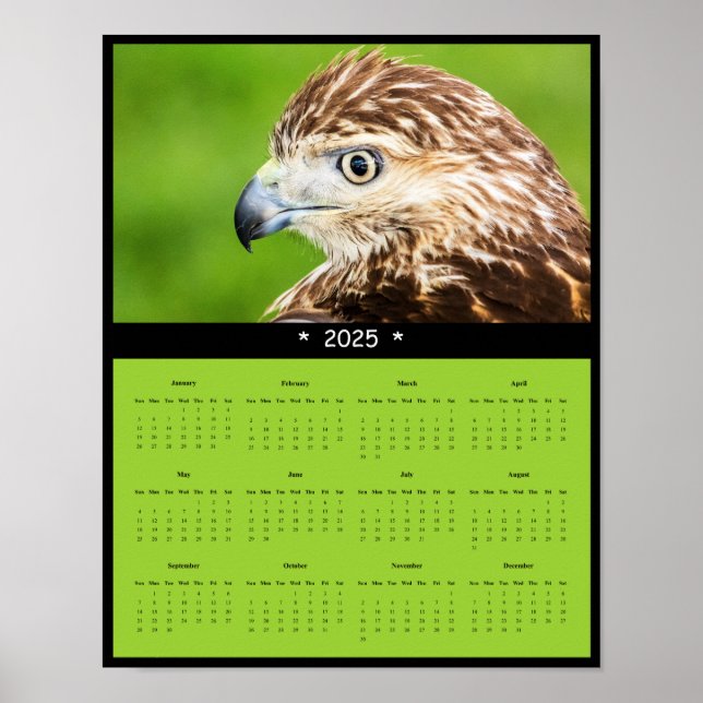 poster de Calendário de Parede Hawk de 2025 (Frente)