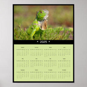 poster de Calendário de Parede Iguana 2025