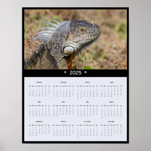 poster de Calendário de Parede Iguana 2025