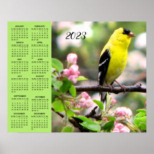 Poster de Calendário Goldfinch Bird em Flor Rosa 2