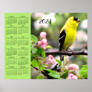 Poster de Calendário Goldfinch Bird em Flor Rosa 2
