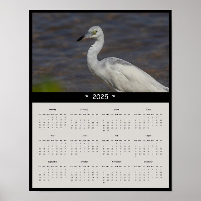 poster de Calendário Imaturo Heron Wall 2025 (Frente)