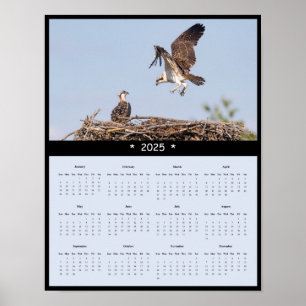 poster de Calendário Osprey Wall 2025