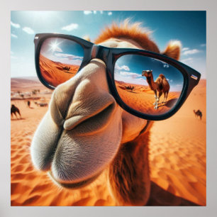 Poster de Camel legal