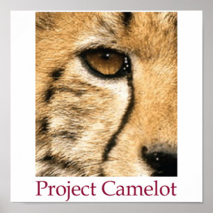 Poster de Camelot do projeto