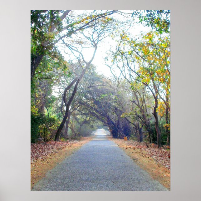 poster de caminho de naduras (Frente)