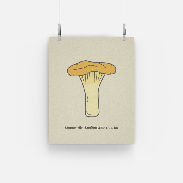 Poster de Canterelle Mushroom (Botanical Chanterelle Mushroom Poster)