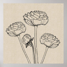 Poster de Canvas da da de Desenho Ranunculus